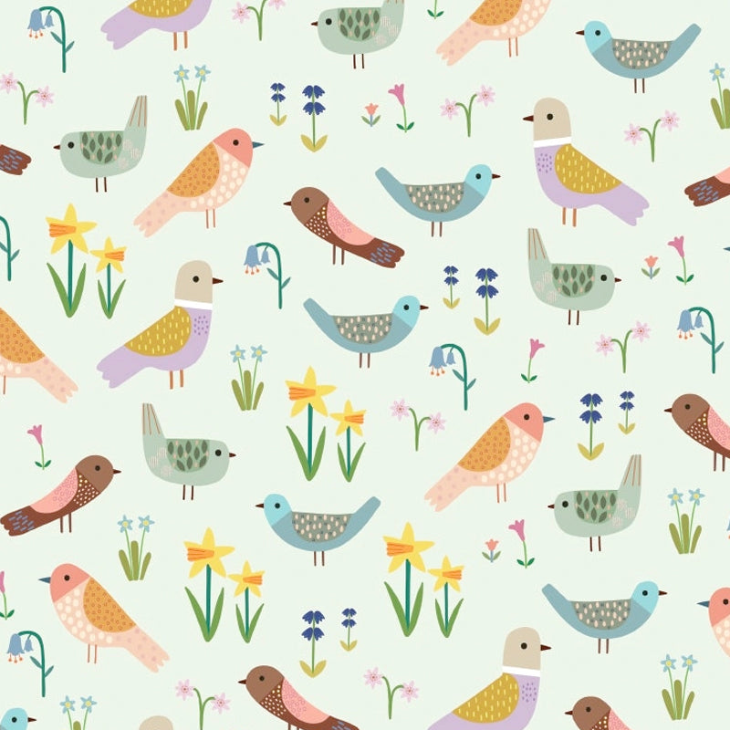 Spring Birds