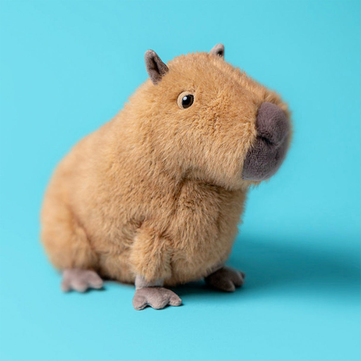 Plush toy capybara on a white background