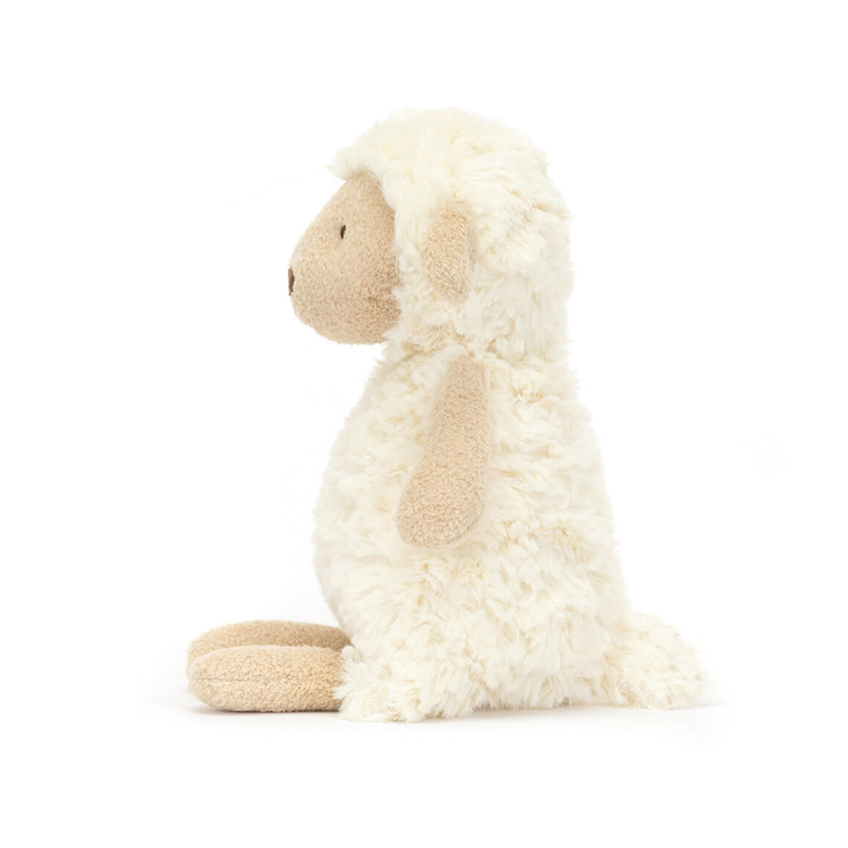 Plush toy sheep on a white background