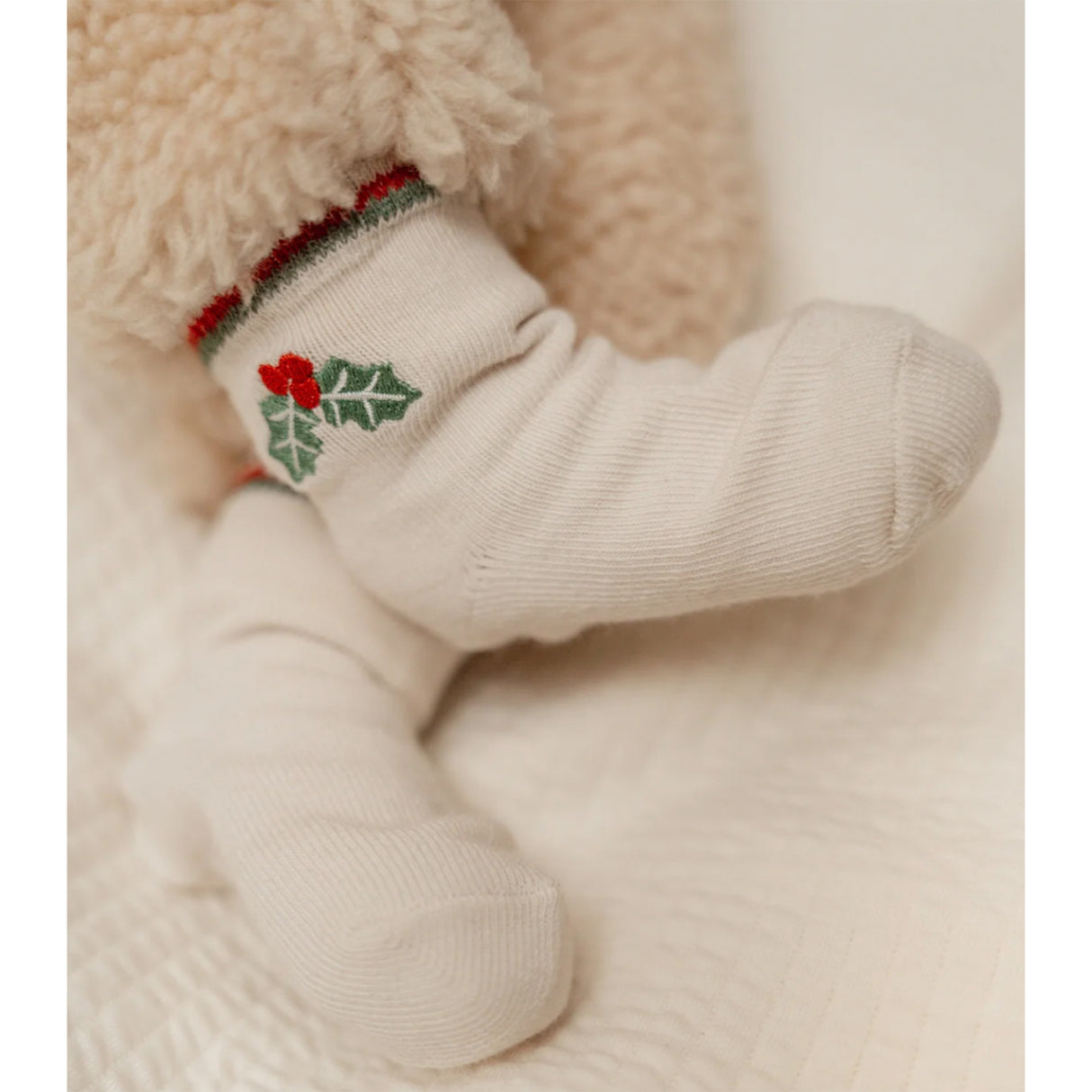 Baby sock with holly design on a soft beige background