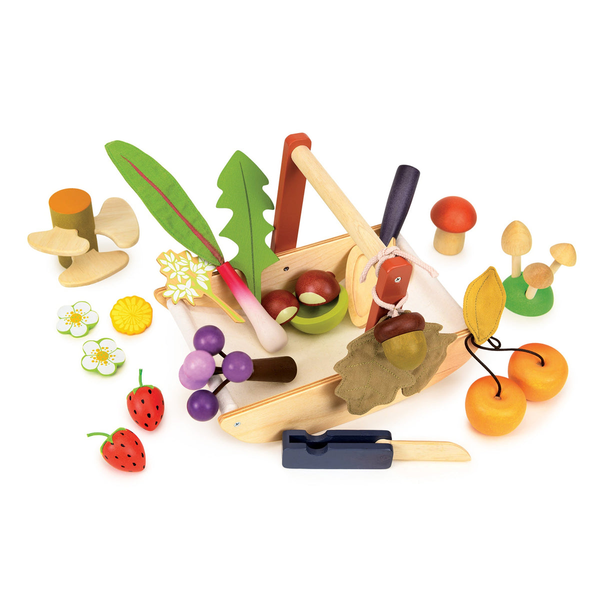 Set of wooden toy wild berries, roots, leaves, mushrooms and flowers along with a wooden trug and tools on a white background