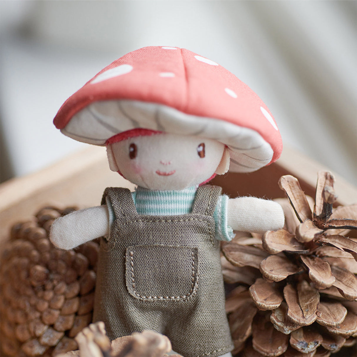 Toy figure with a red mushroom hat surrounded by pine cones