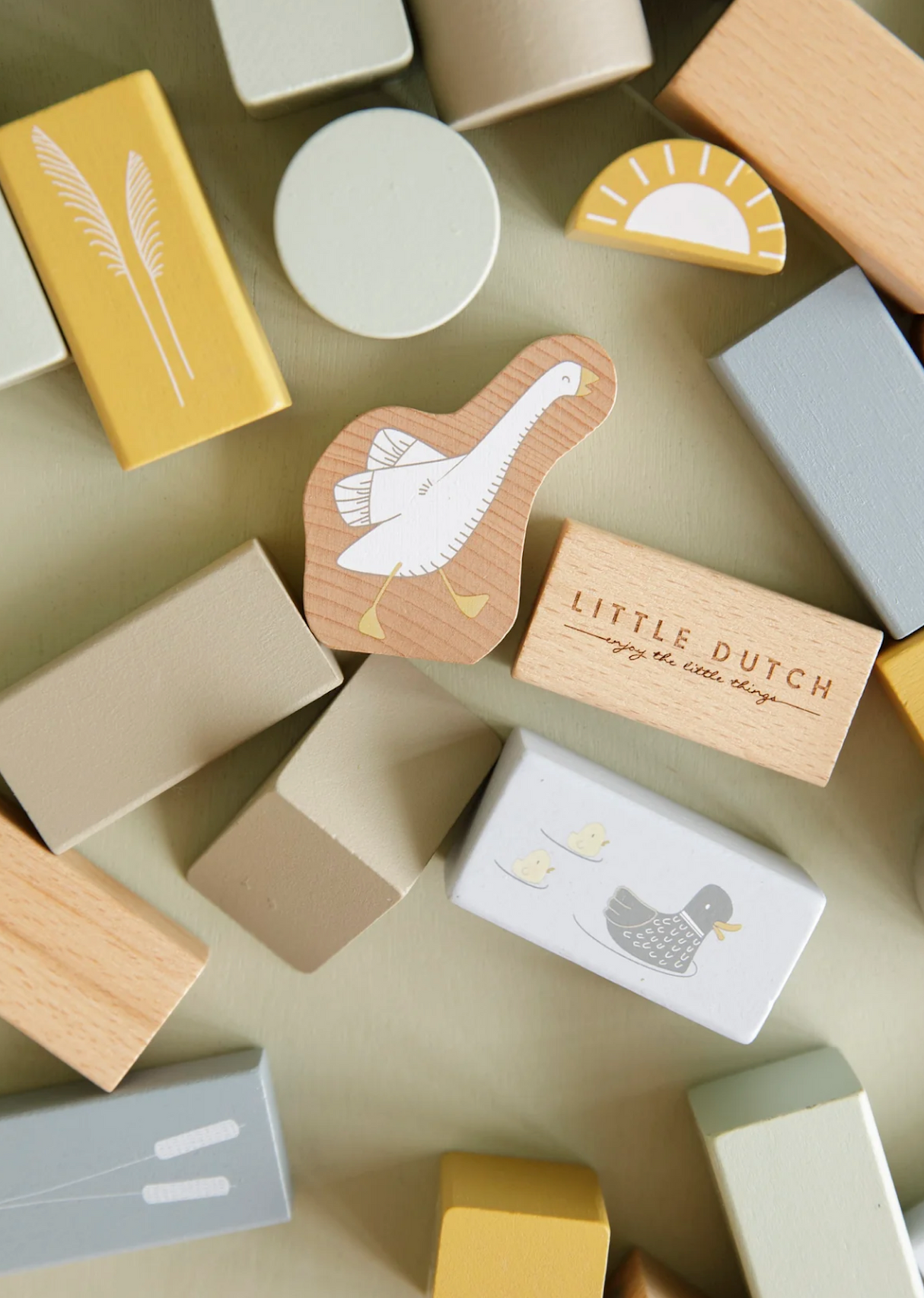 Little Dutch building blocks showing goose and duck illustrations