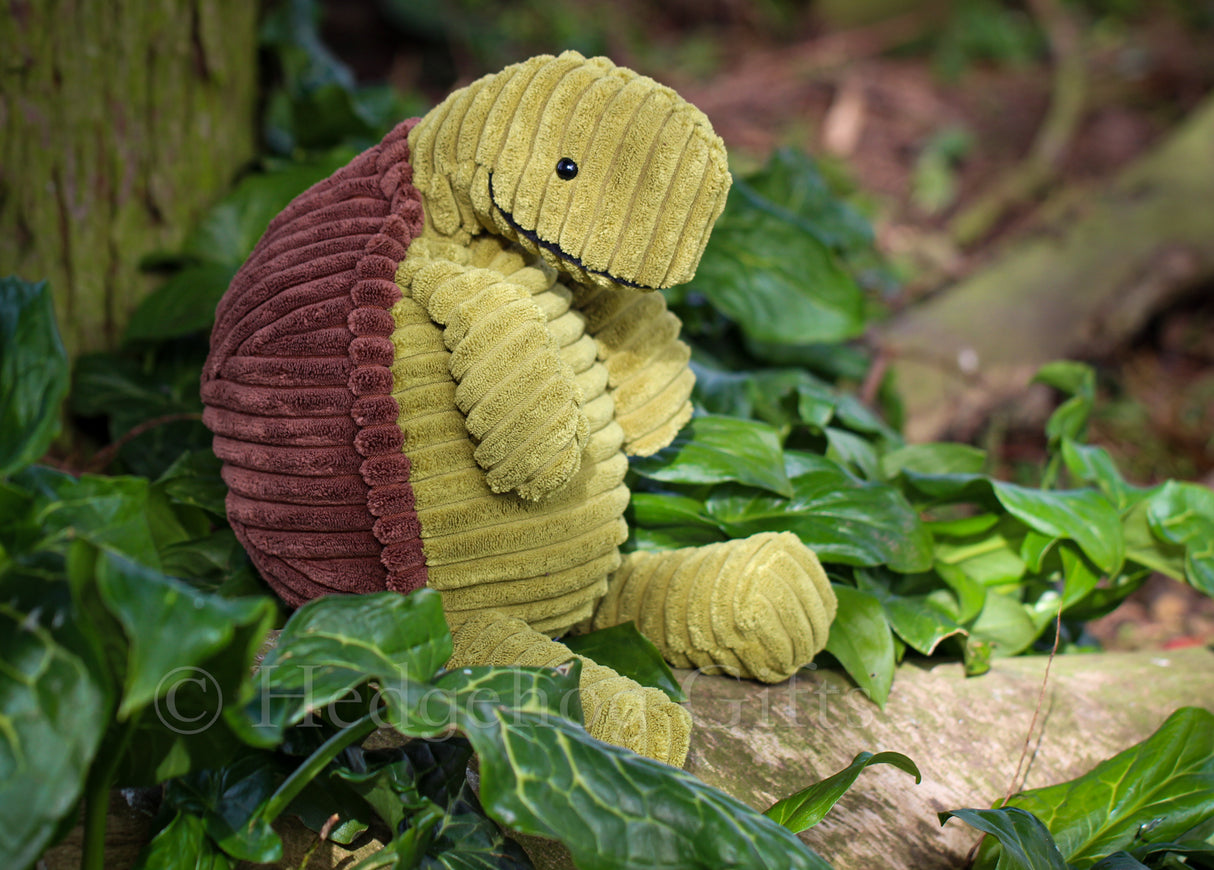 Jellycat Cordy Roy Tortoise Medium