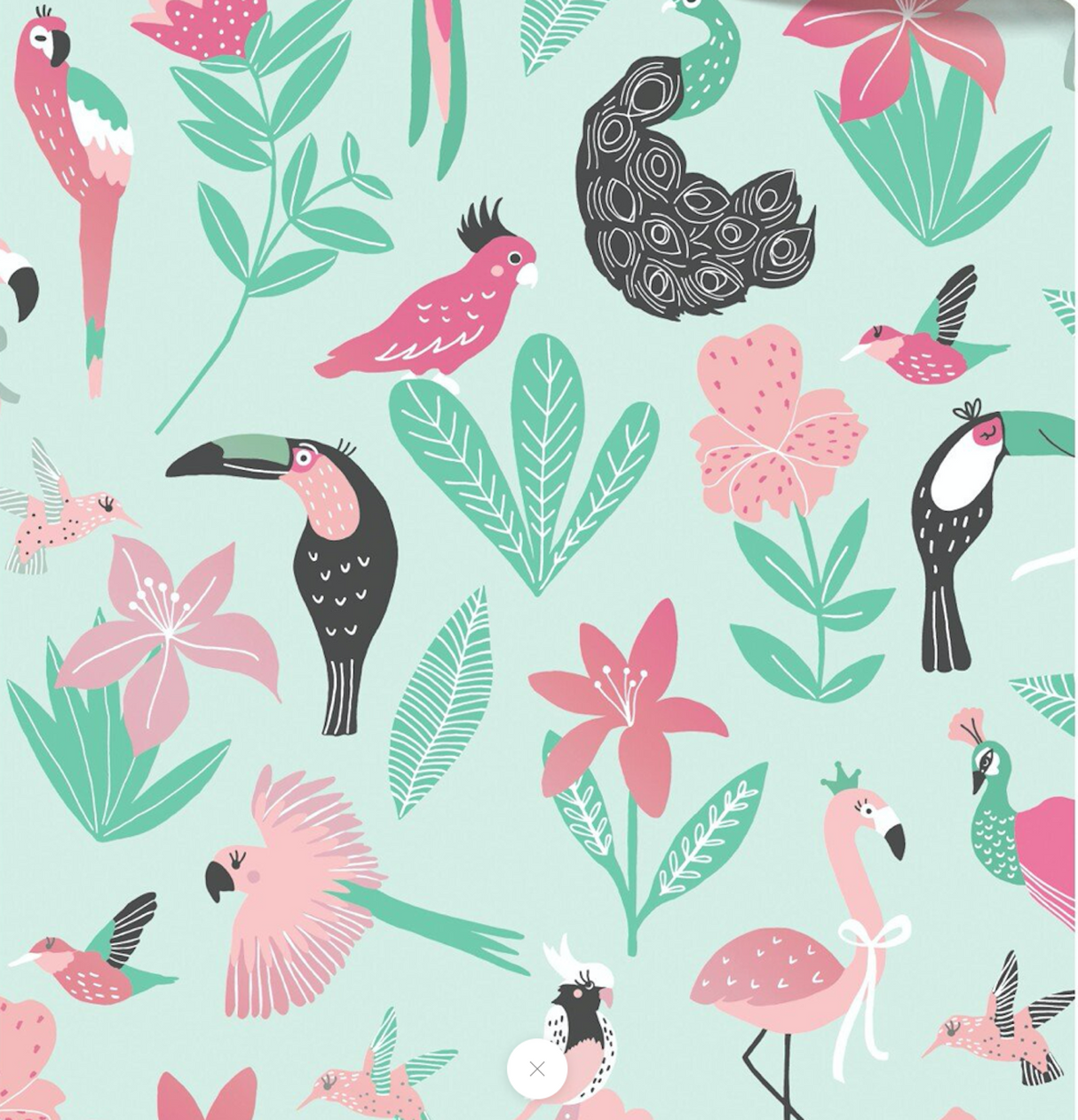 Tucan / Flamingo Gift Wrap