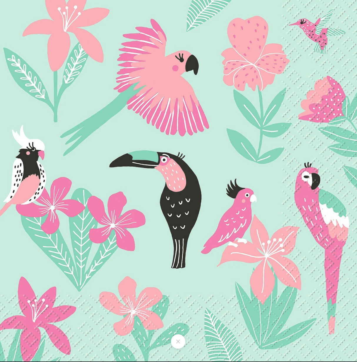 Tucan / Flamingo Gift Wrap