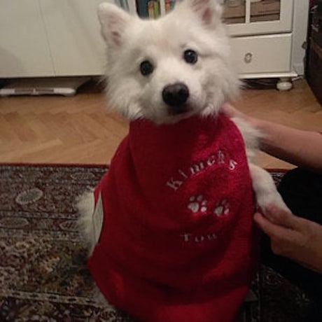 Dog Towels