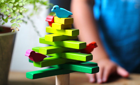 Plan Toys