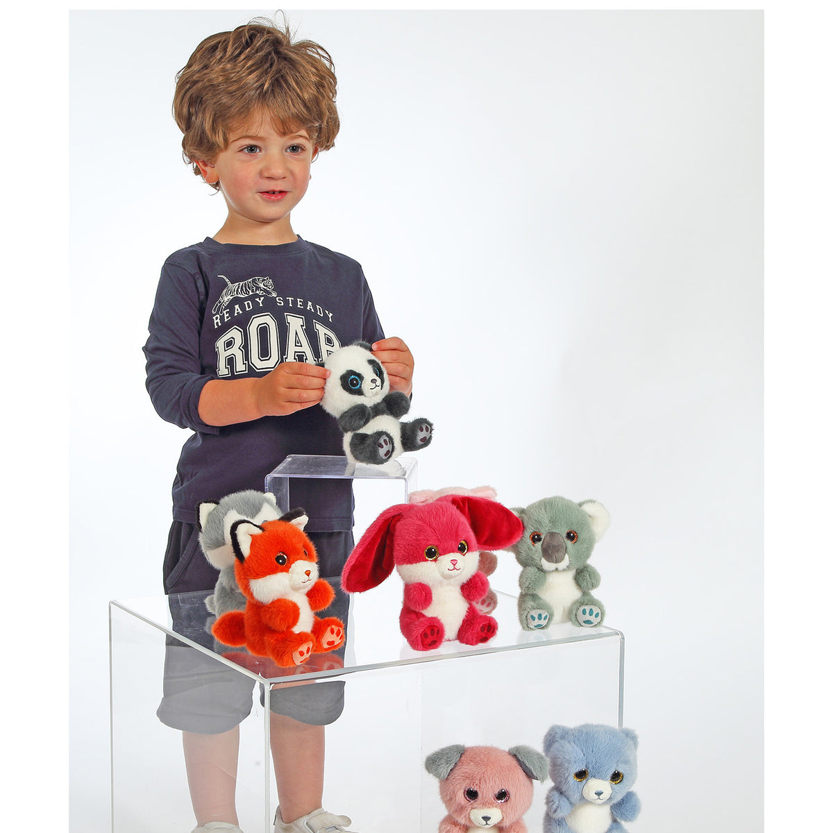 A young boy stands behind a clear acrylic display table holding a plush panda, with several colourful stuffed animals arranged on the table