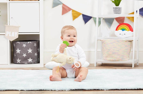 Pooh On the Go Activity Toy