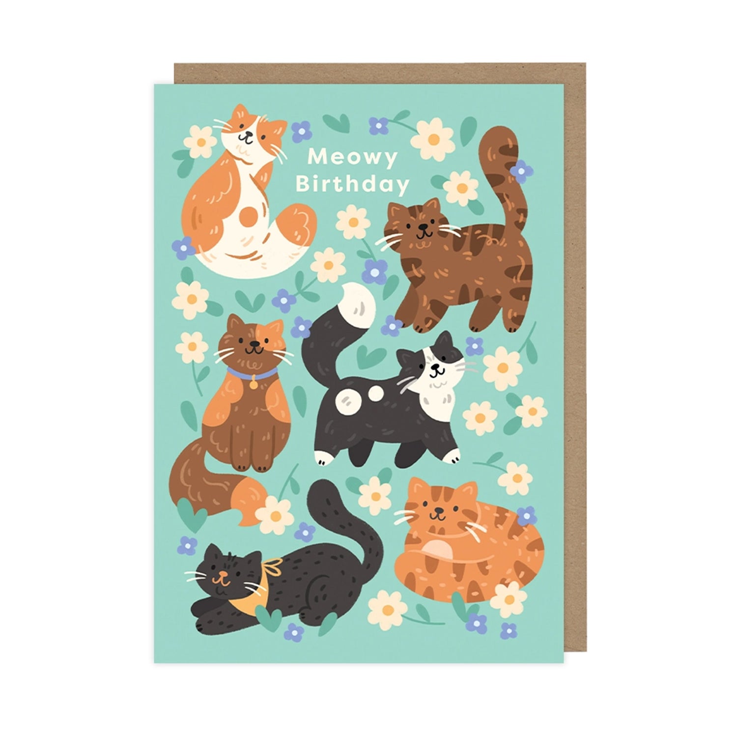 Birthday Card with turquoise background 6 different colourd brown black cats and flowers