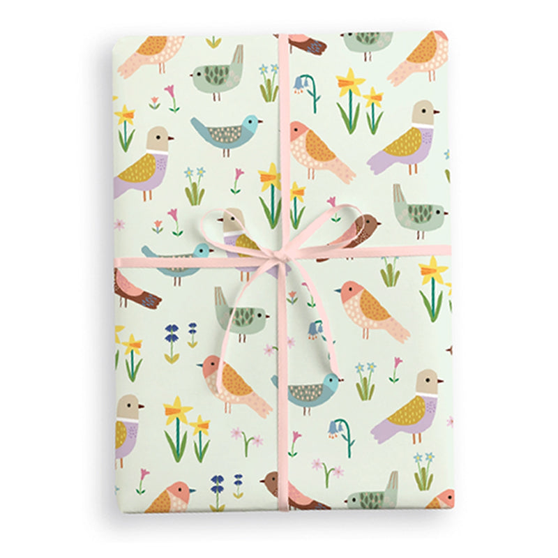 Spring Birds