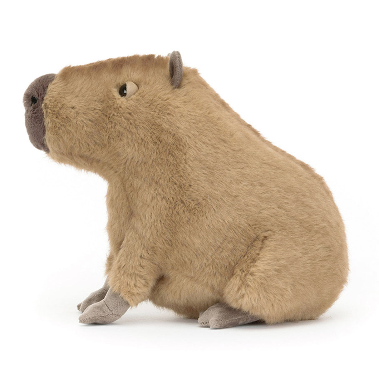 Plush toy capybara on a white background