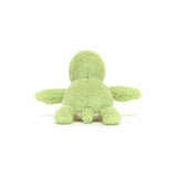 Fluffy Turtle