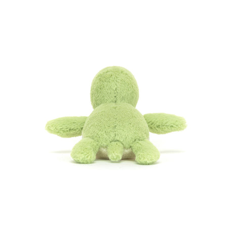 Fluffy Turtle