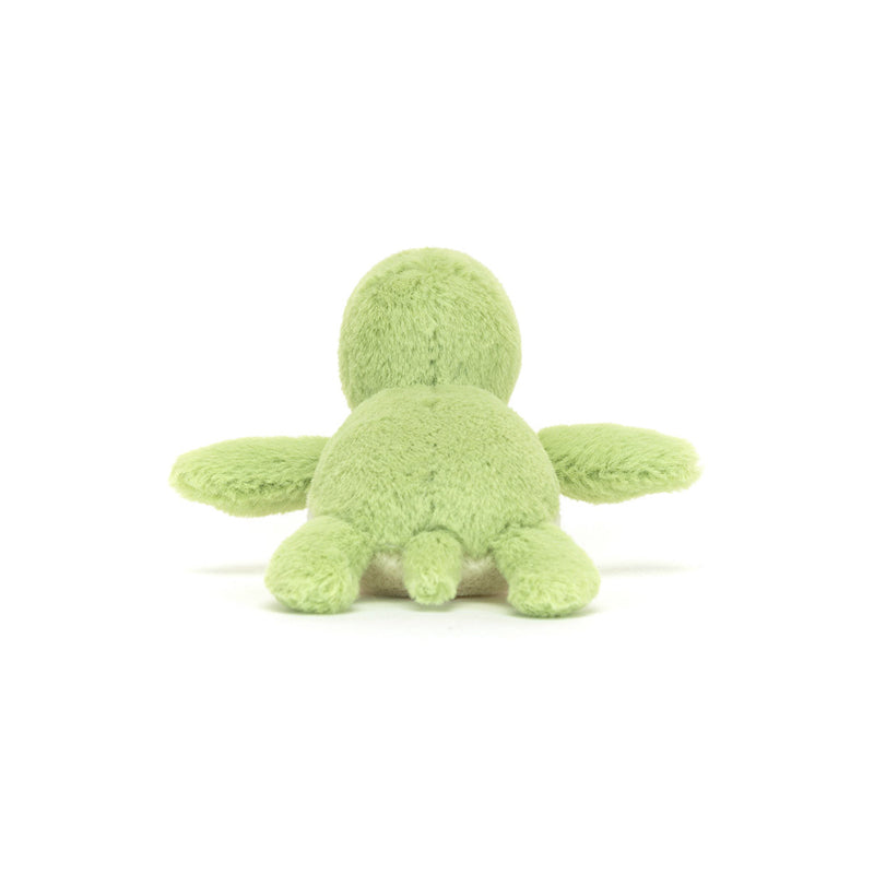 Fluffy Turtle