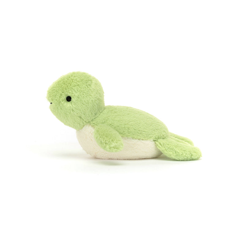 Fluffy Turtle