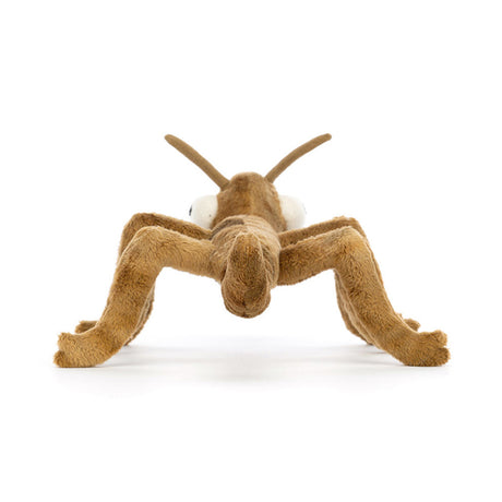 Plush toy ant on a white background