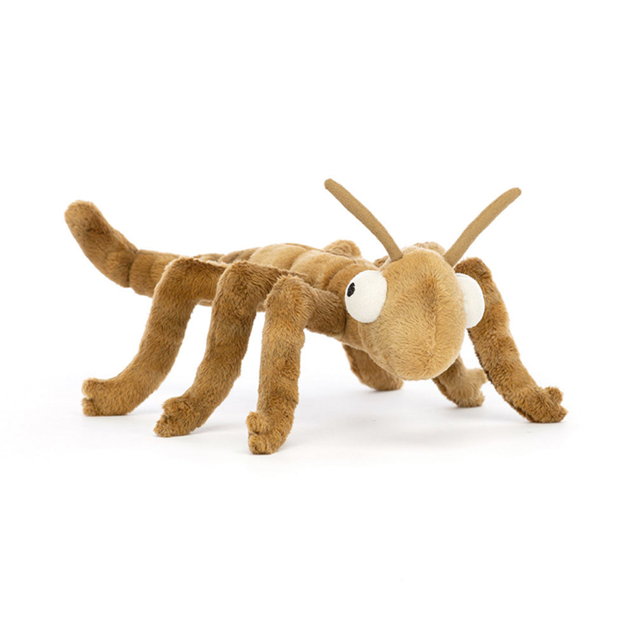 Plush brown toy grasshopper on a white background