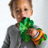 Child holding a green leafy kale rubber teether toy with an orange and green toy on wrist against a white background