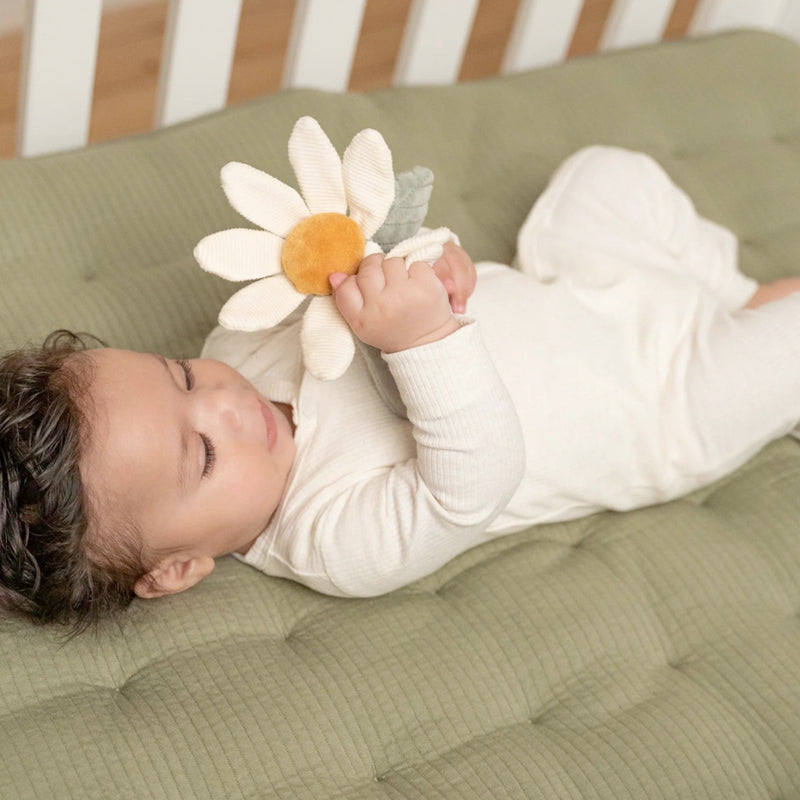 Little Dutch Rattle Flower - Little Farm