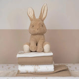 Plush rabbit toy on a stack of folded towels with a neutral background