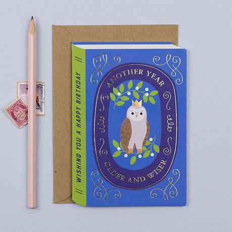 Blue and green birthday card in the style of a fairytale book with an owl on front and text reading "Another year older and wiser" with a brown kraft envelope