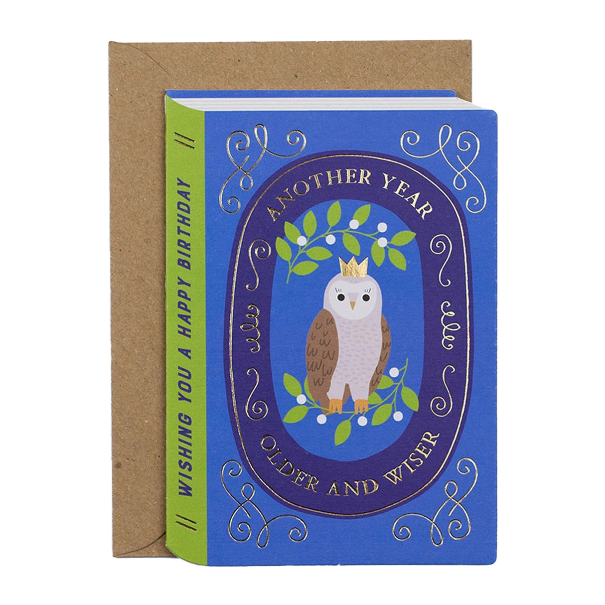 Blue and green birthday card in the style of a fairytale book with an owl on front and text reading "Another year older and wiser" with brown kraft envelope