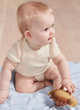 Billy Dino Teether