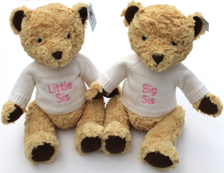 Two stuffed bears with personalised jumpers, one with 'Little Sister' embroidered on the front, the other with a tag visible.