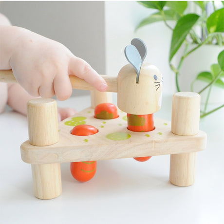 Wooden toy with a rabbit figure and red carrots, held by a child's hand.