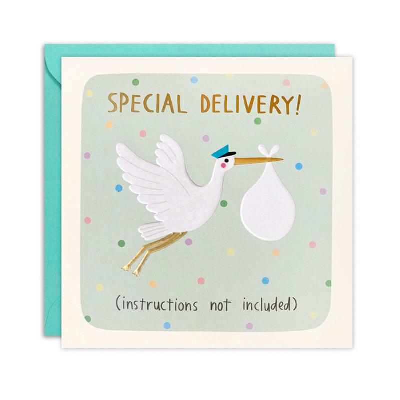 Special Delivery New Baby Card