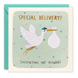Card with stork carrying a baby, labeled 'Special Delivery! (instructions not included)' on a green background.