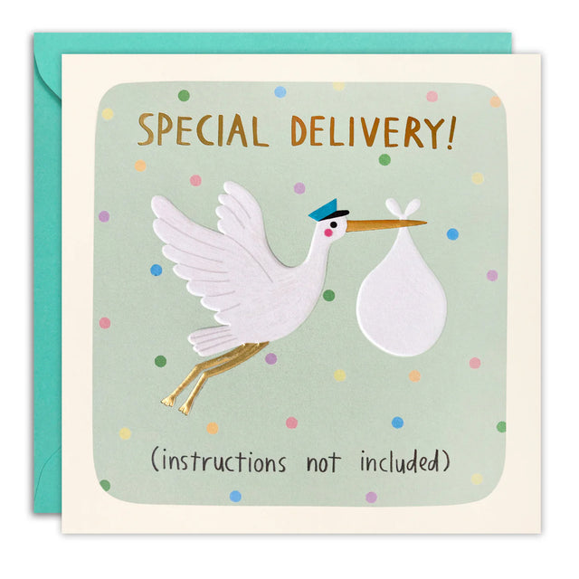 Card with stork carrying a baby, labeled 'Special Delivery! (instructions not included)' on a green background.