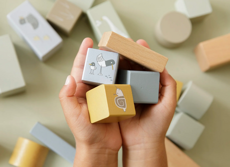 A handful of stacking building blocks with illustrations of seagulls and snail