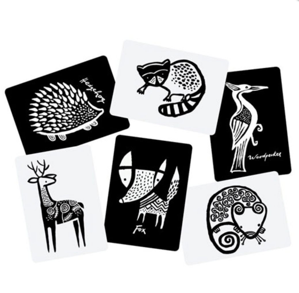 Wee Gallery Animal Art Cards for unusual baby set