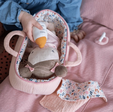 Baby Doll Rosa with Carry Basket, Blanket and Bottle - Personalised