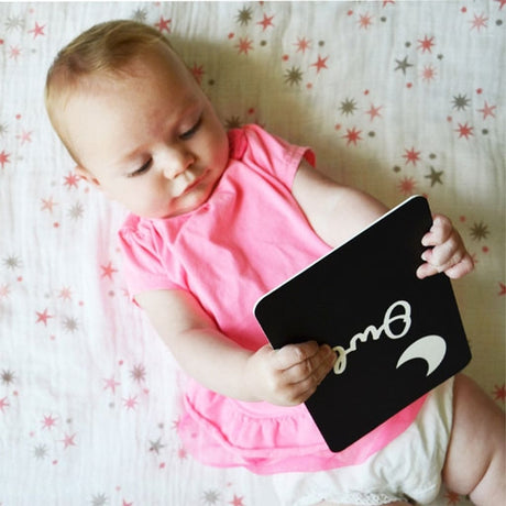 Baby holding an educational wee gallery boxed set includes a Fox, Hedgehog, Raccoon, Deer, Mouse and Woodpecker with the illustrations on the front