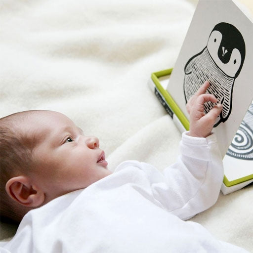 Baby holding an educational wee gallery boxed set includes a Fox, Hedgehog, Raccoon, Deer, Mouse and Woodpecker with the illustrations on the front