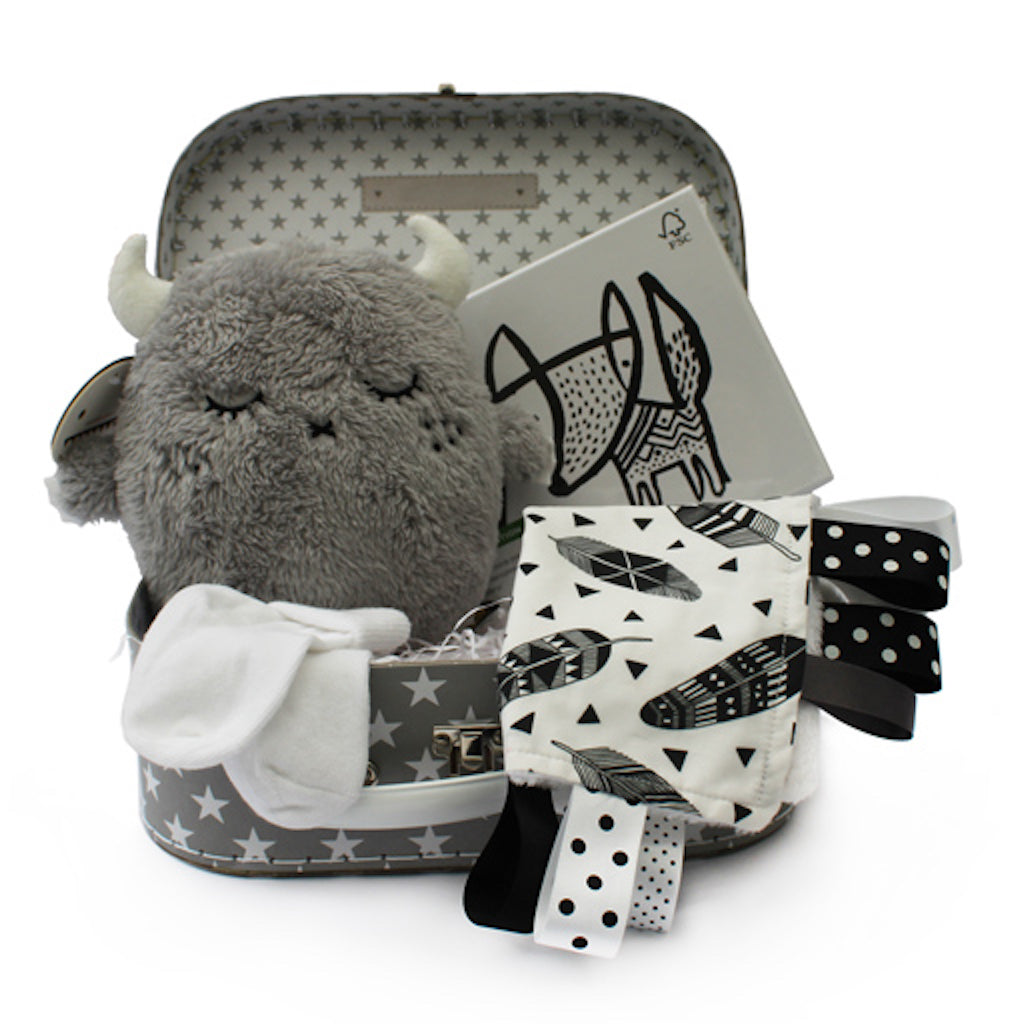 Star grey suitcase gift set with Noodoll Ricepuffy Taggy Blanket Art Cards for unusual Christmas set