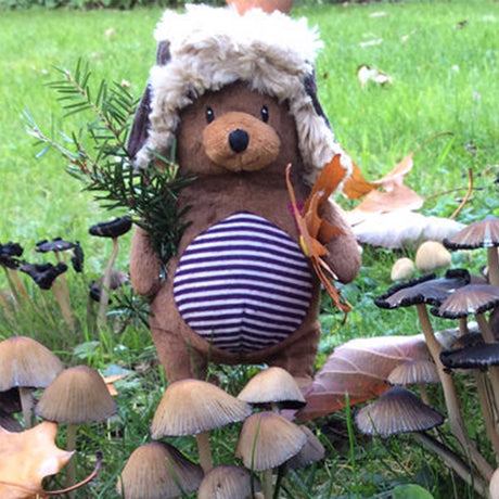 In the garden Ragtales parker bear baby childrens soft toy with stripey tummy an woollen hunters hat